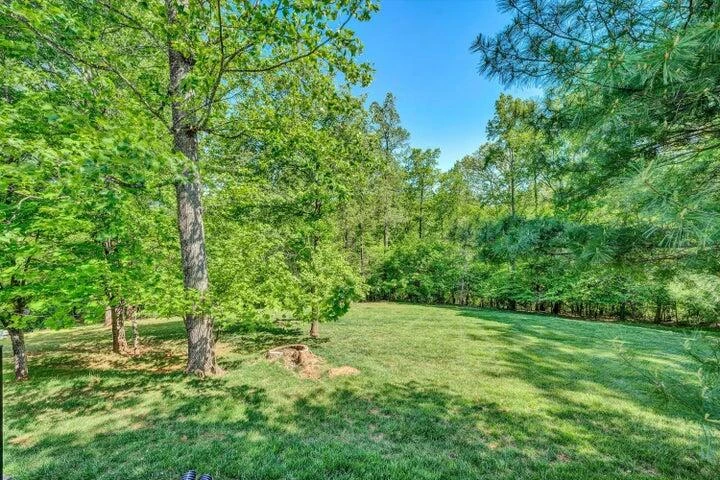 232 Mountain Cove DR #6 - Photo 59