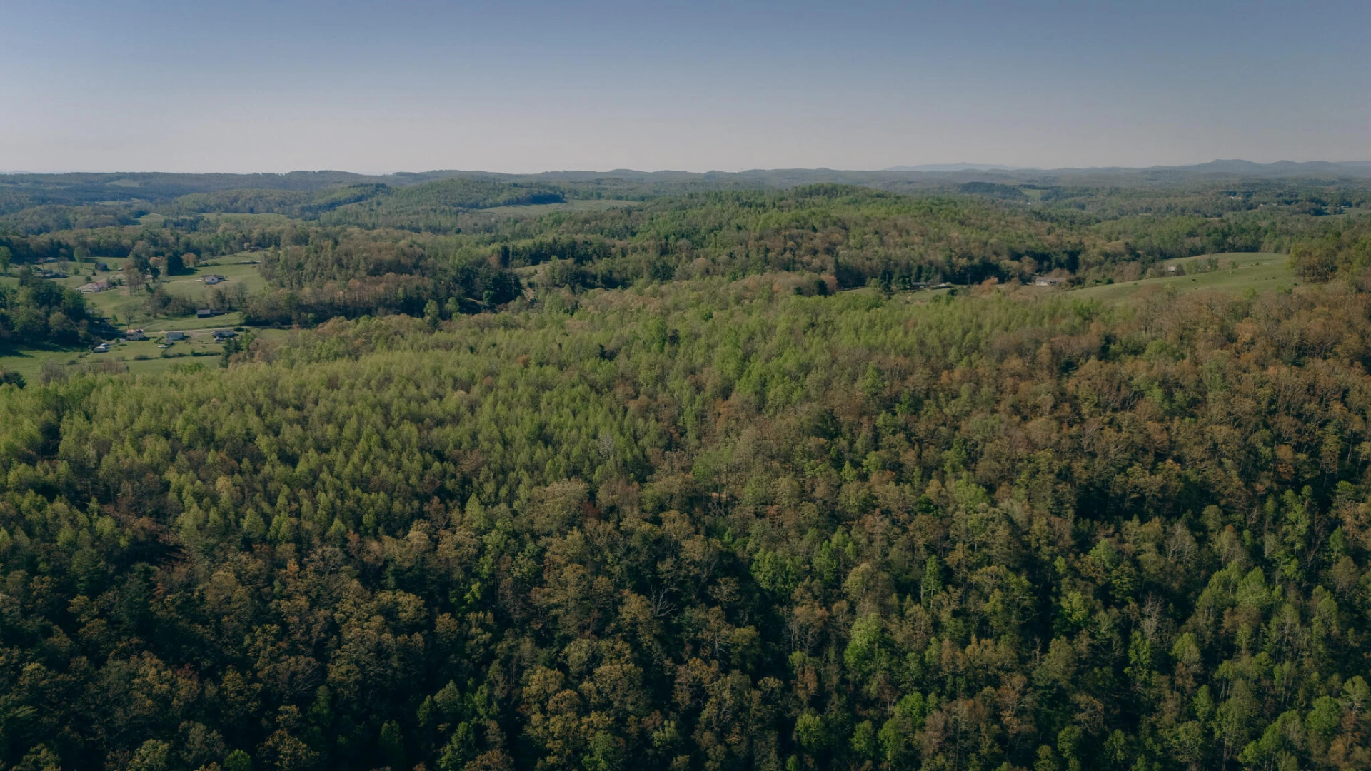 8270 Twin Falls RD - Photo 10