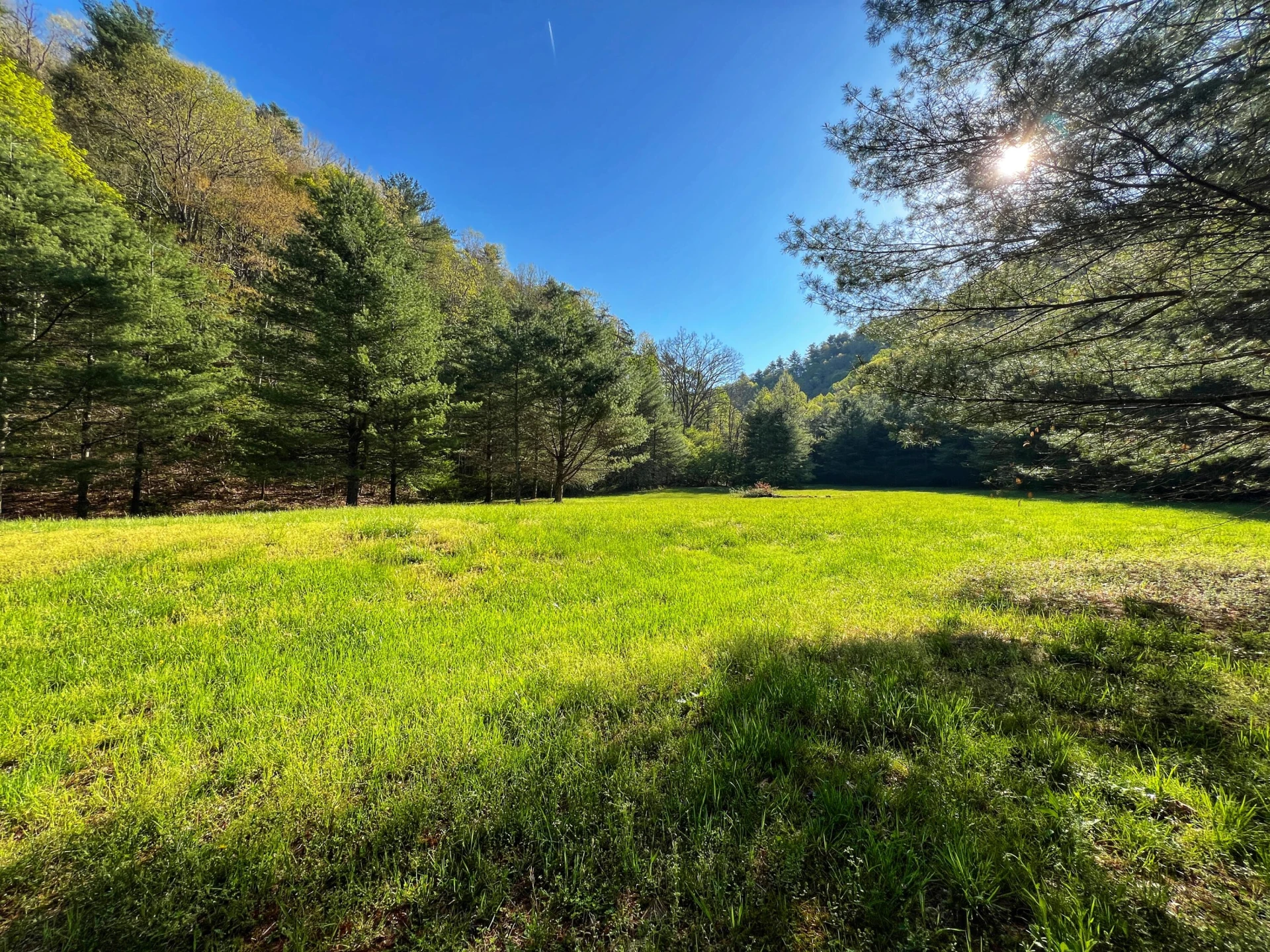 8270 Twin Falls RD - Photo 19