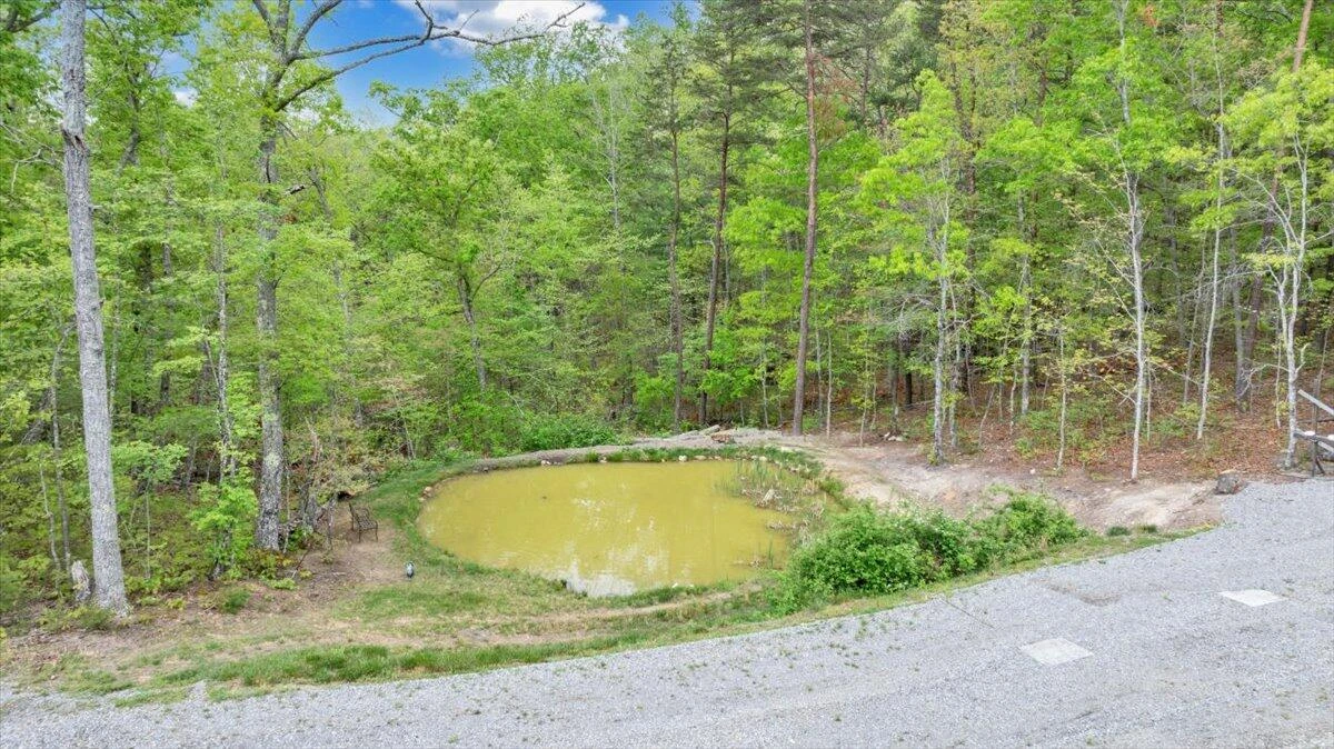 4029 Flatwoods RD - Photo 30