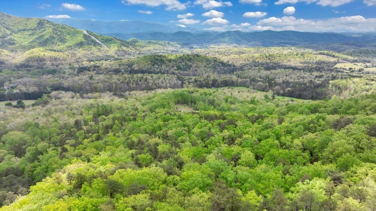 4029 Flatwoods RD - Photo 38