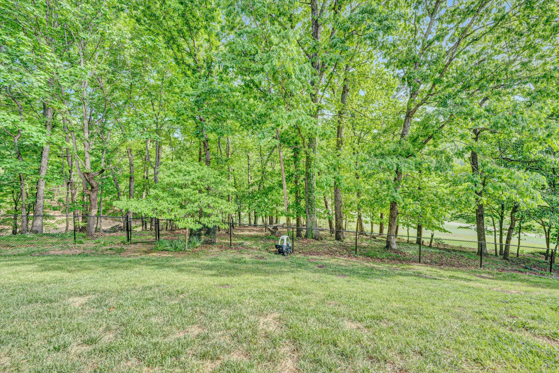4920 Bear Ridge CIR - Photo 46