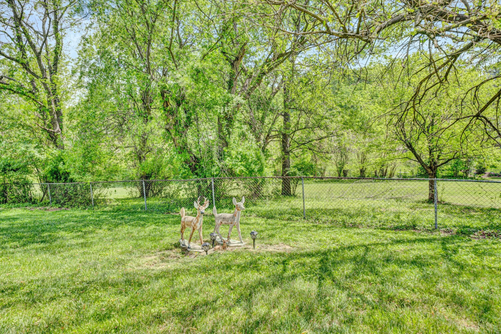 5317 Eveningwood LN - Photo 33