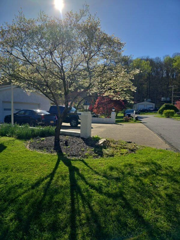 1407 Russell DR - Photo 3