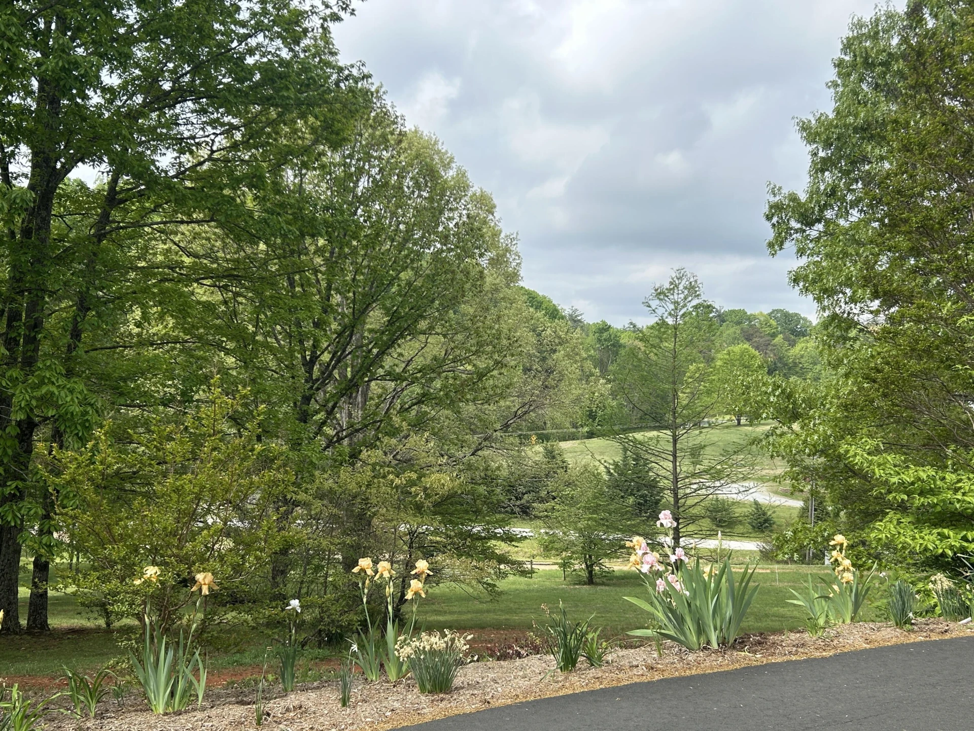 5531 Bethlehem RD - Photo 33