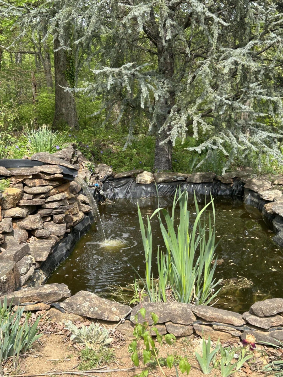 5531 Bethlehem RD - Photo 41