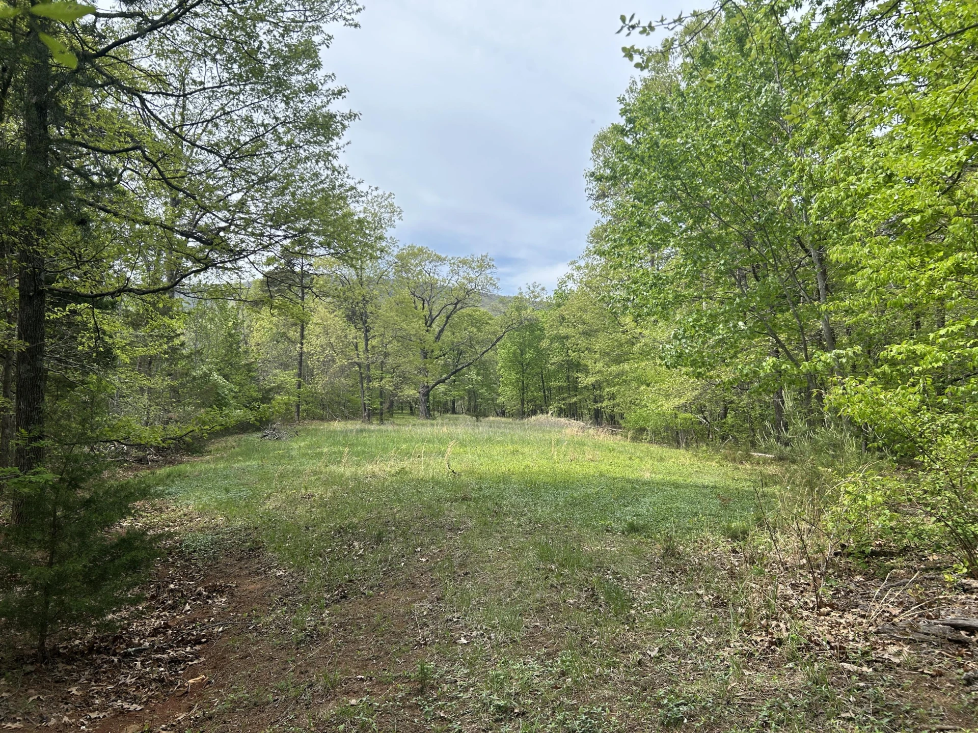 5531 Bethlehem RD - Photo 45