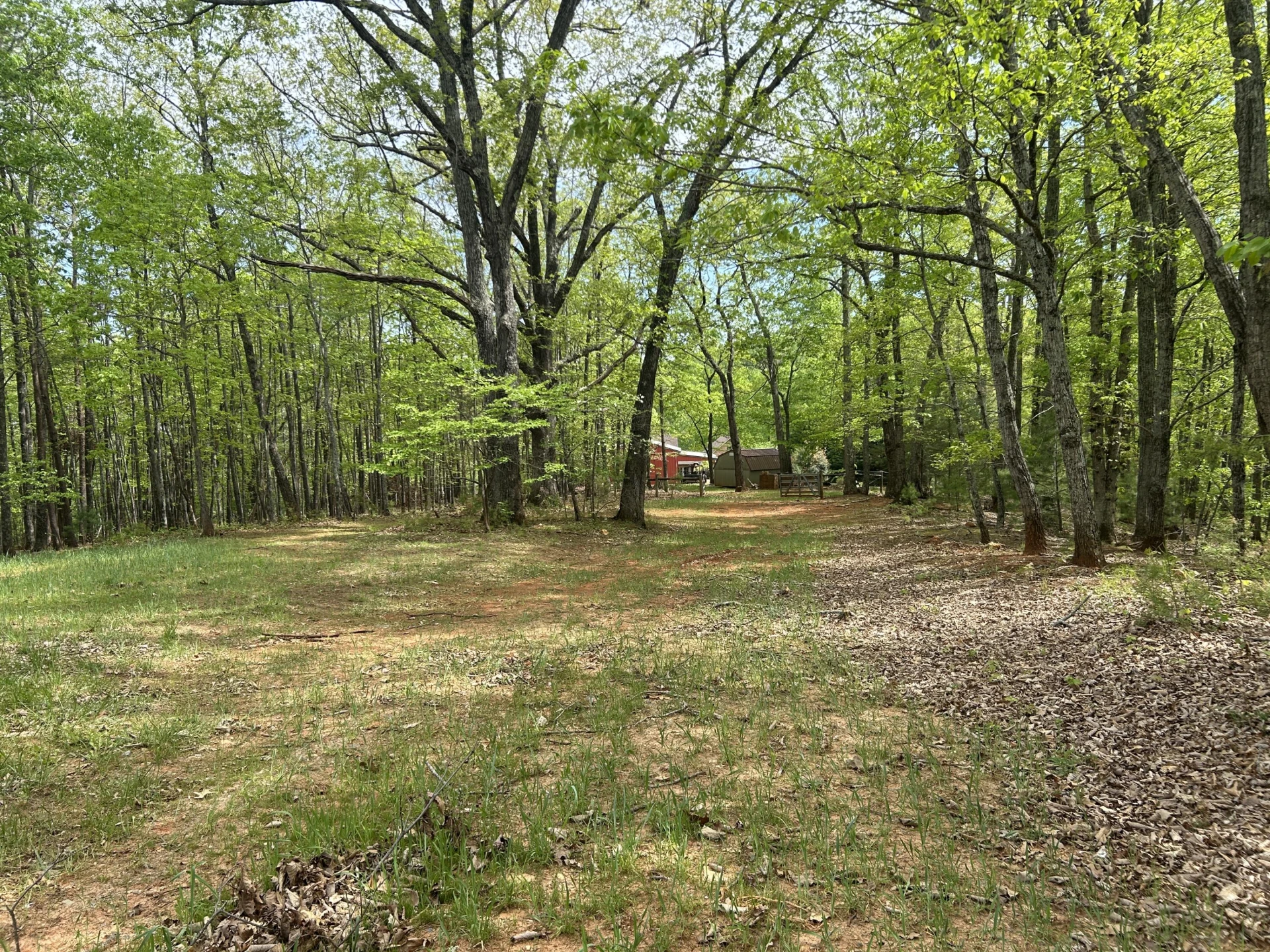 5531 Bethlehem RD - Photo 48