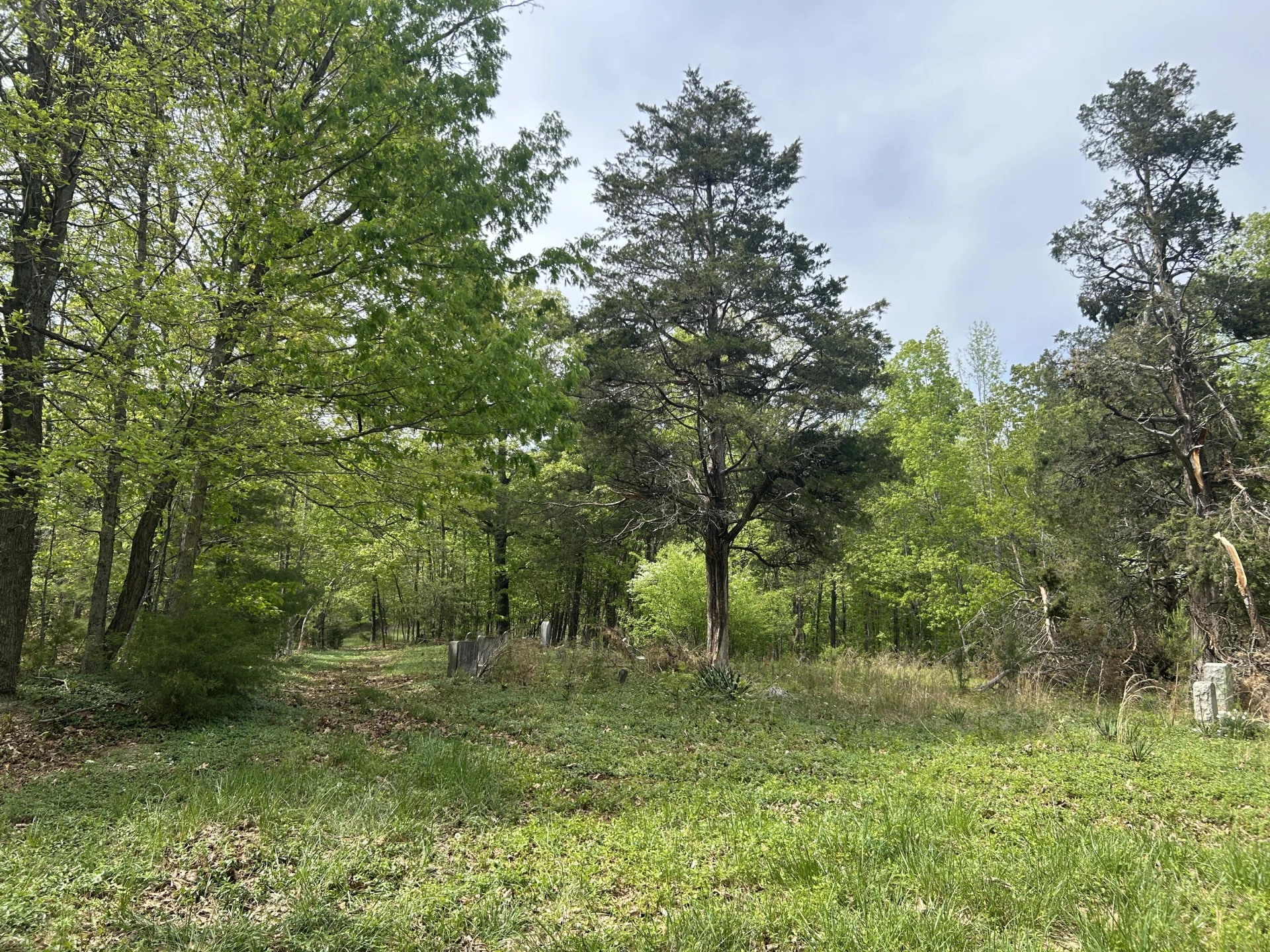 5531 Bethlehem RD - Photo 49
