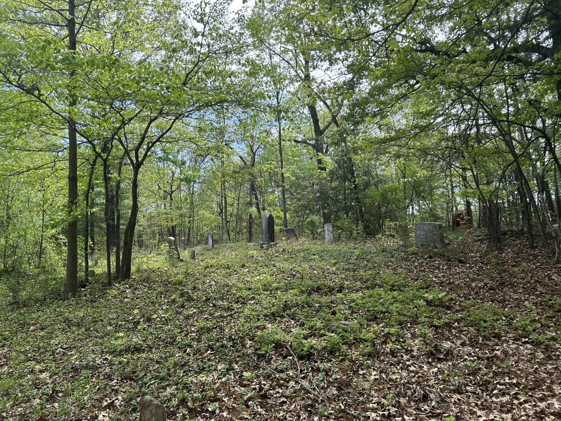 5531 Bethlehem RD - Photo 50