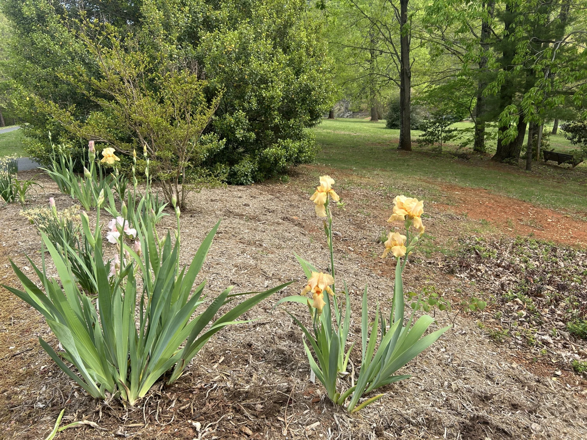 5531 Bethlehem RD - Photo 67