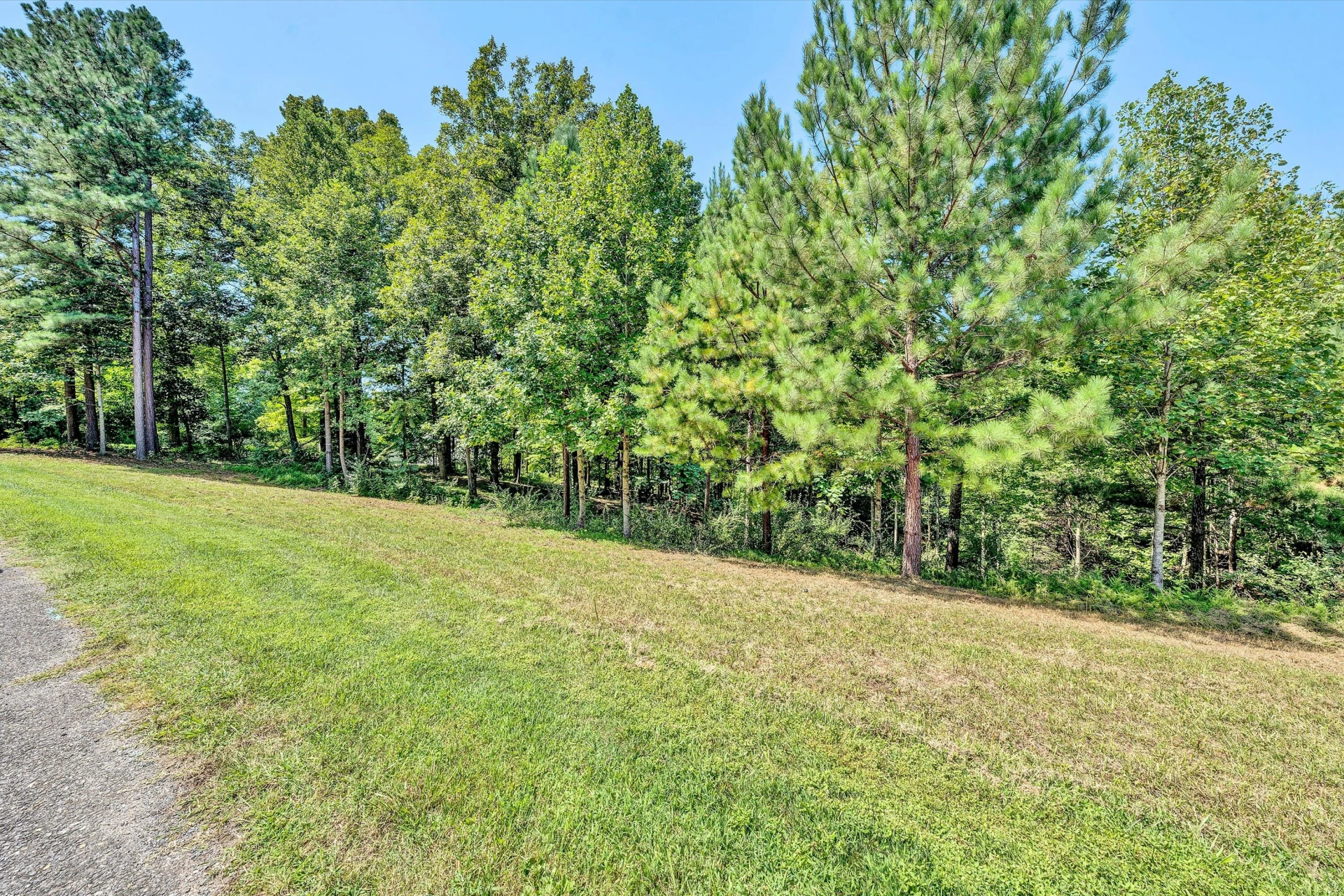 Lot 30 Lakewatch CIR - Photo 4