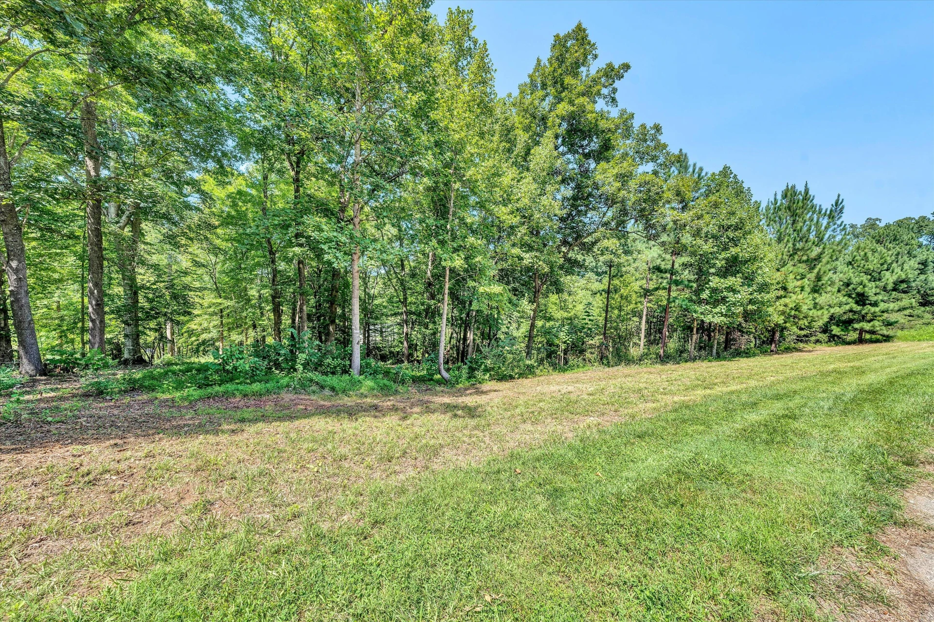 Lot 30 Lakewatch CIR - Photo 5