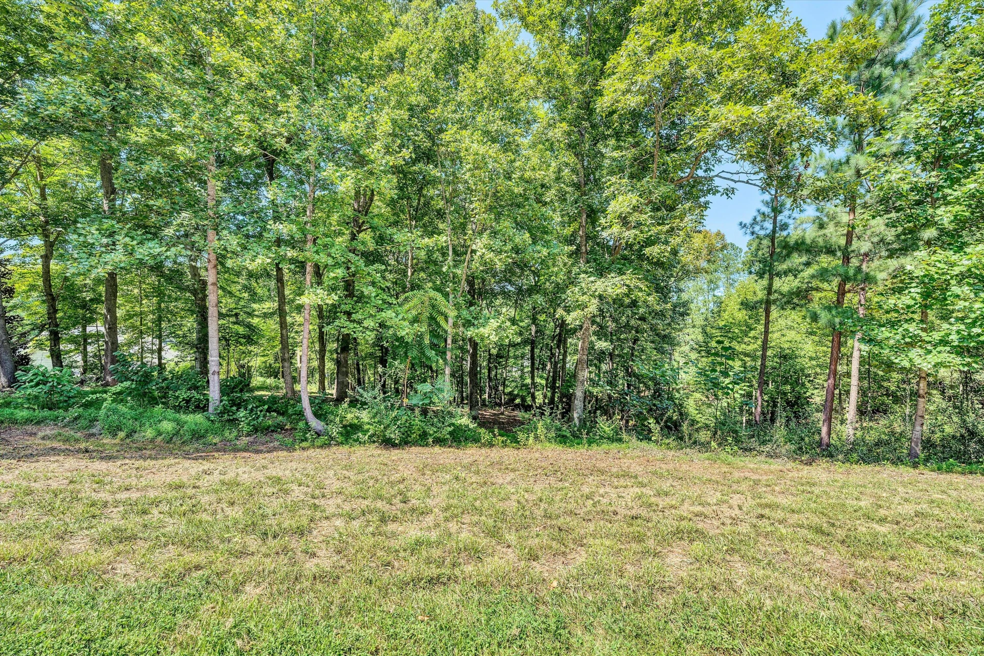 Lot 30 Lakewatch CIR - Photo 7