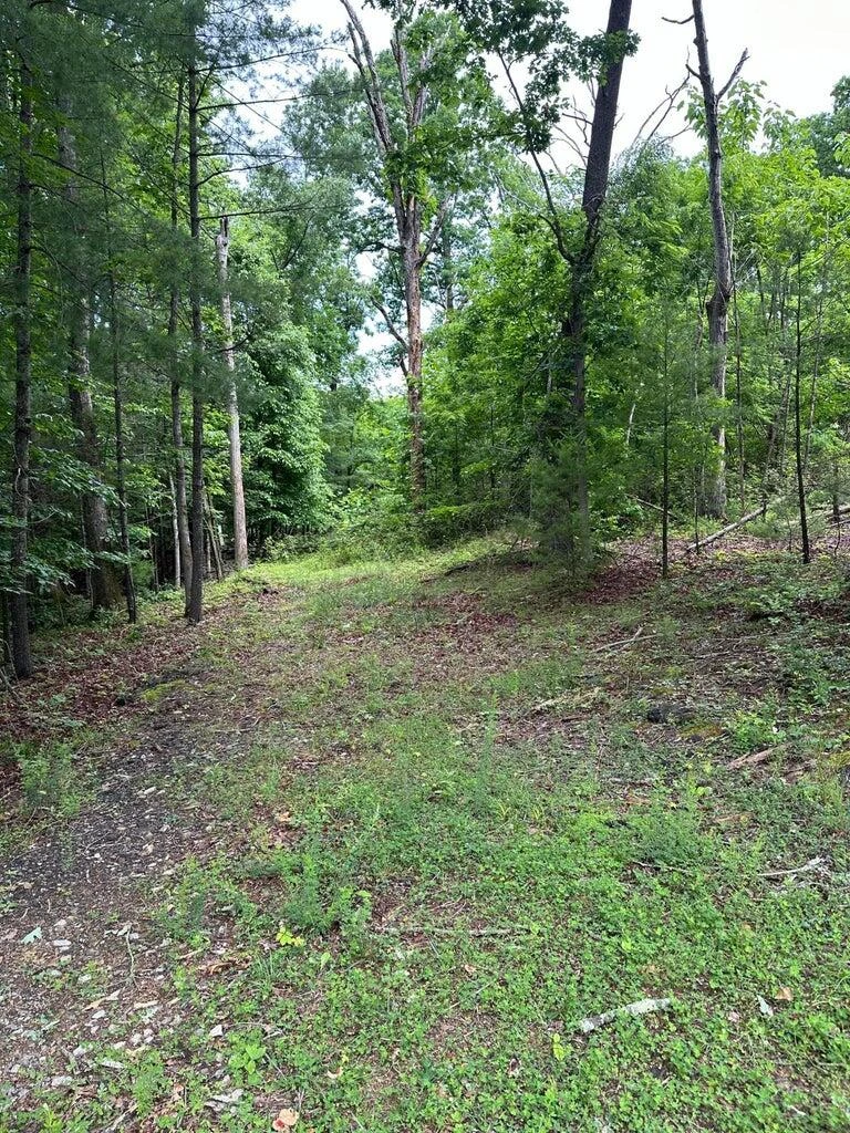 6790 Split Oak RD - Photo 2