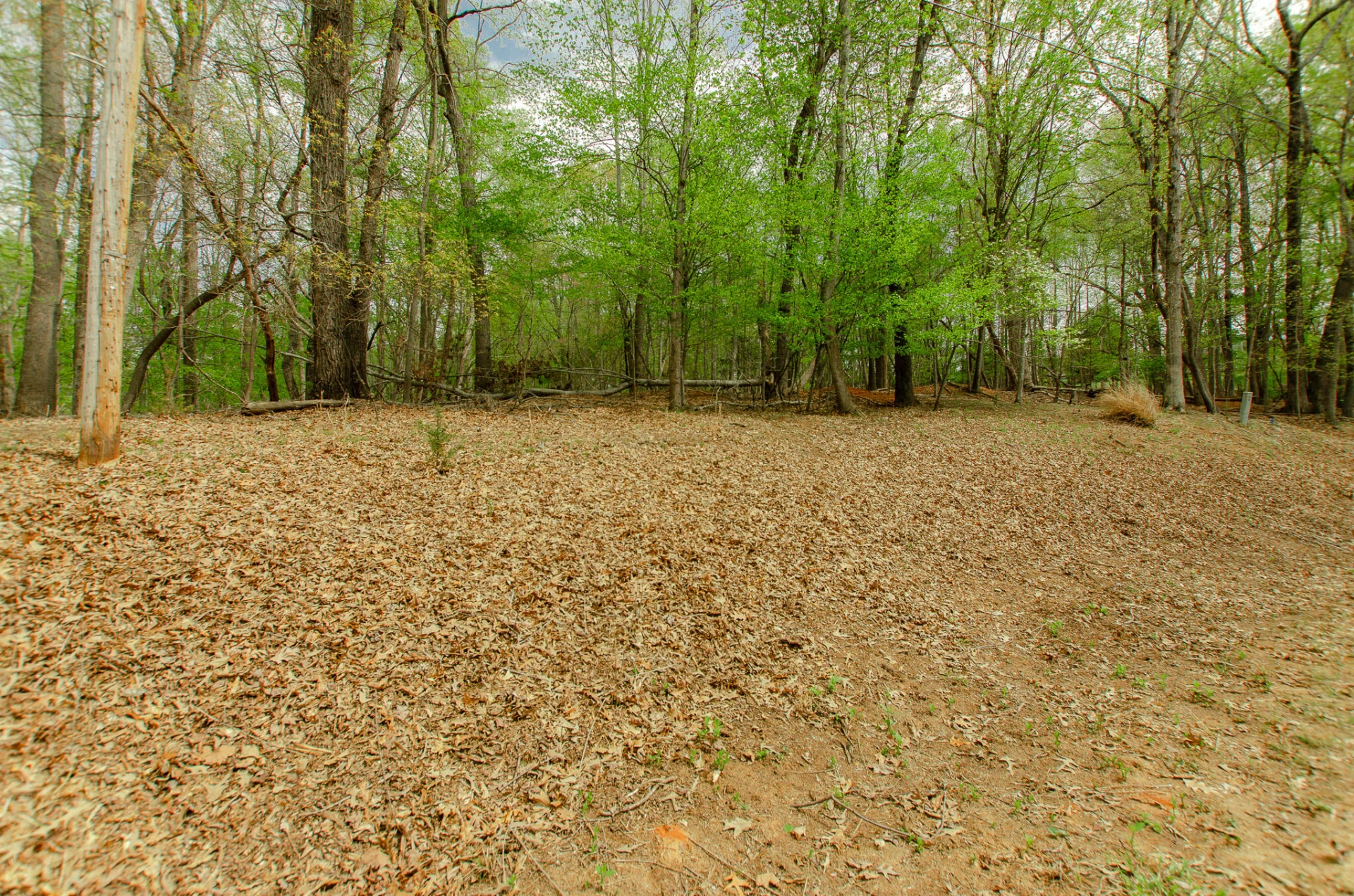 0 High Point  RD - Photo 11