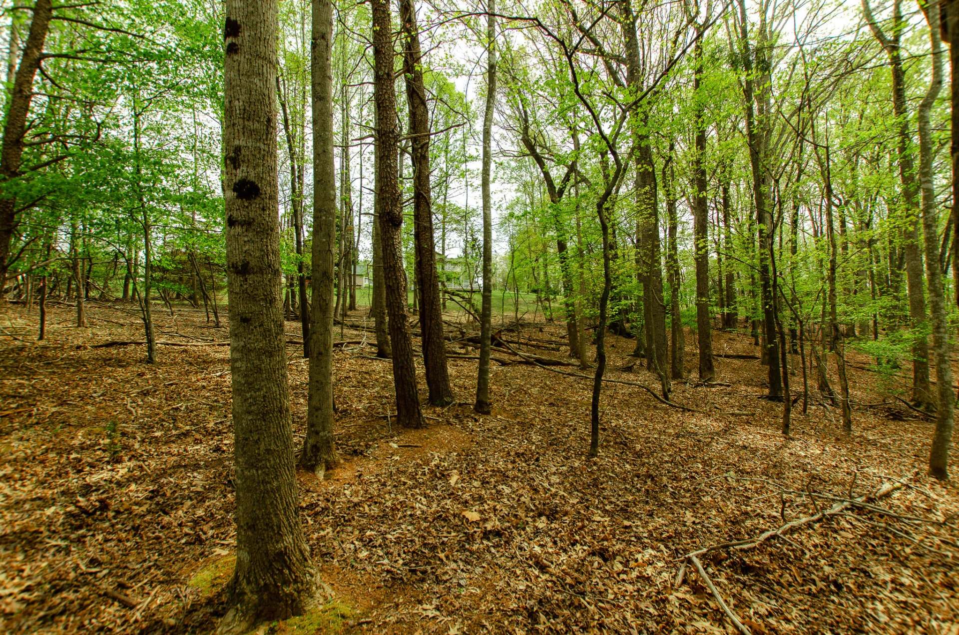 0 High Point  RD - Photo 13