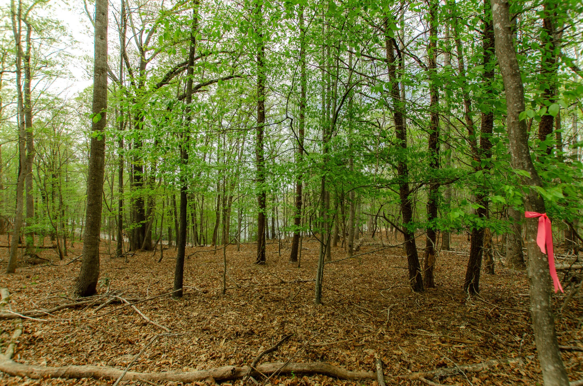 0 High Point  RD - Photo 14