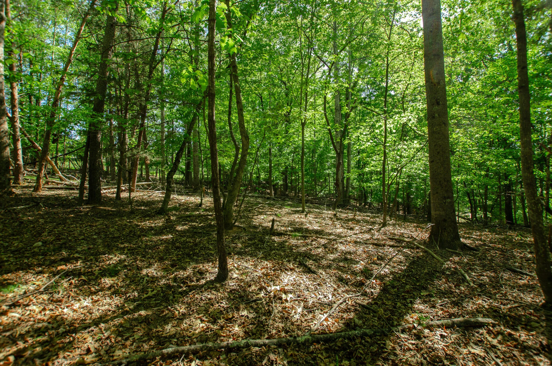 0 High Point  RD - Photo 6