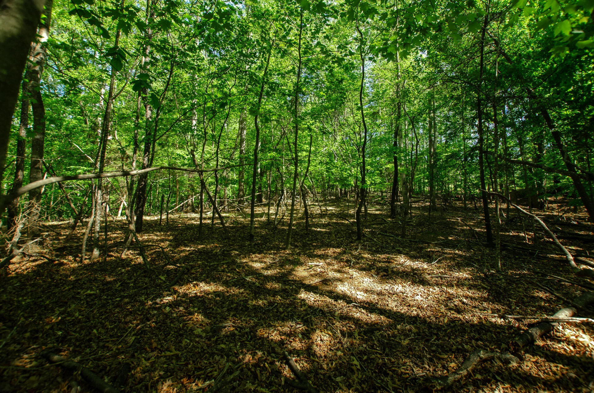 0 High Point  RD - Photo 7