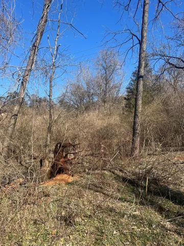 0 Old Rocky Mount RD