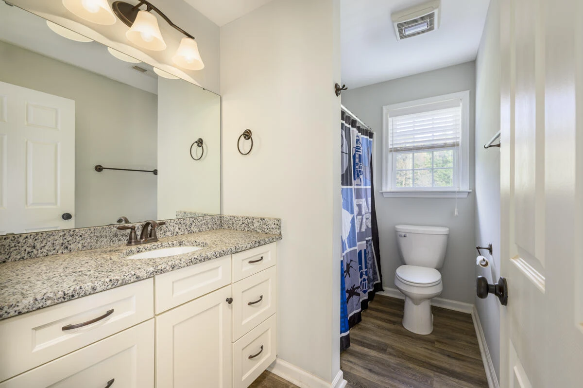 1169 Mountain Creek LN - Photo 37
