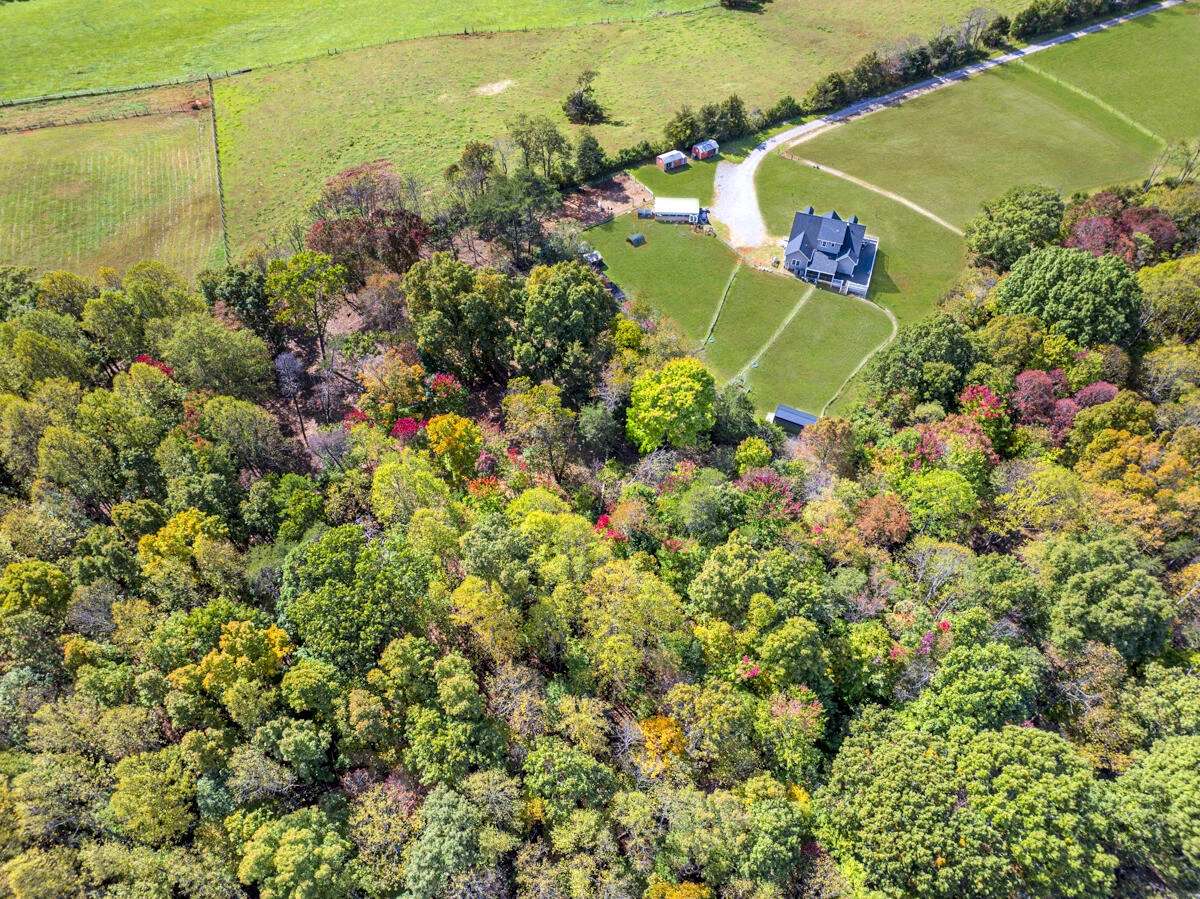 1169 Mountain Creek LN - Photo 48
