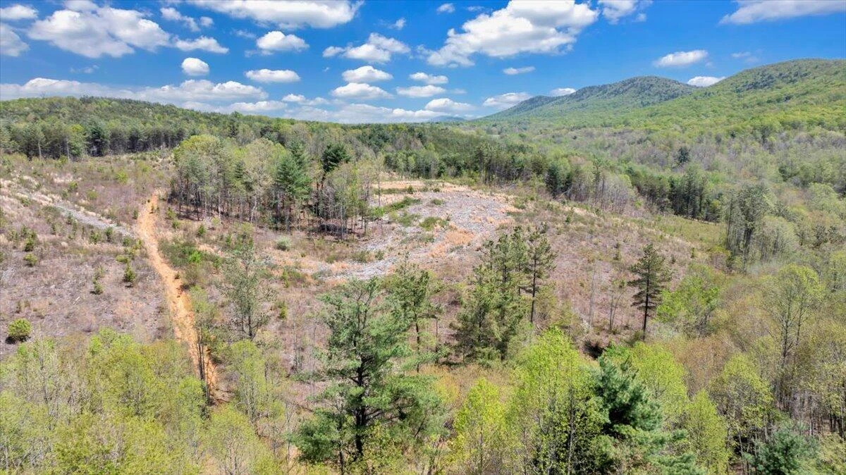 4724 Muddy Fork RD - Photo 50