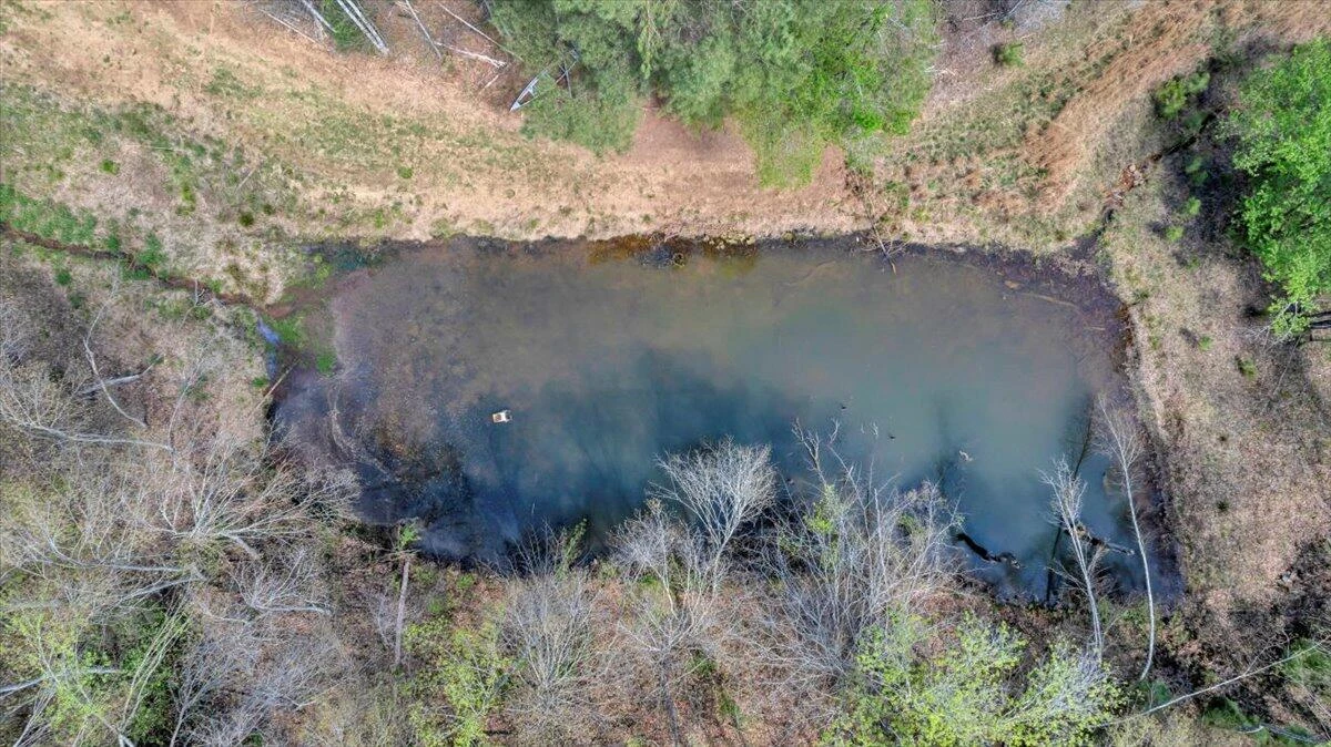 4724 Muddy Fork RD - Photo 51