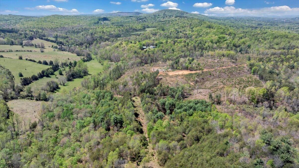 4724 Muddy Fork RD - Photo 54