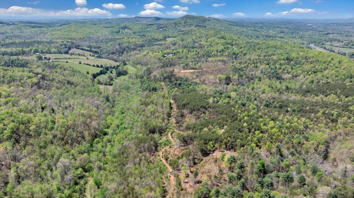 4724 Muddy Fork RD - Photo 58