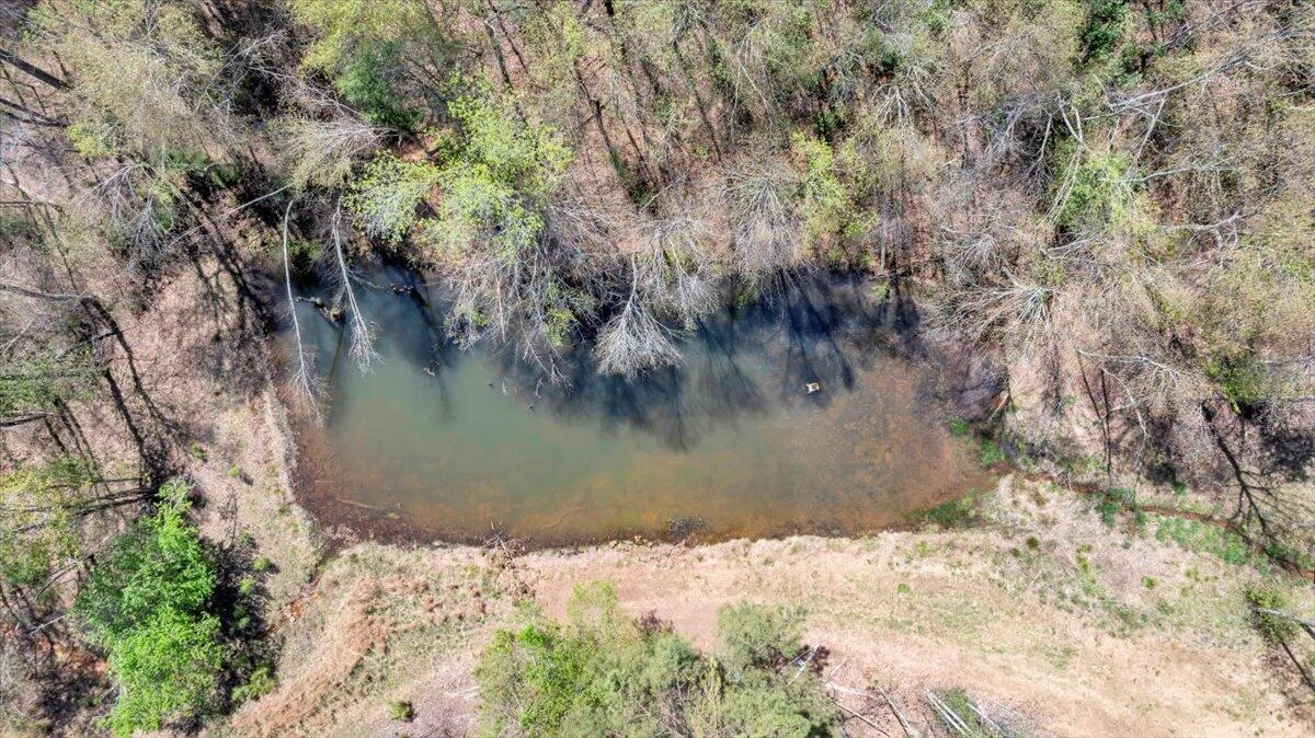 4724 Muddy Fork RD - Photo 63