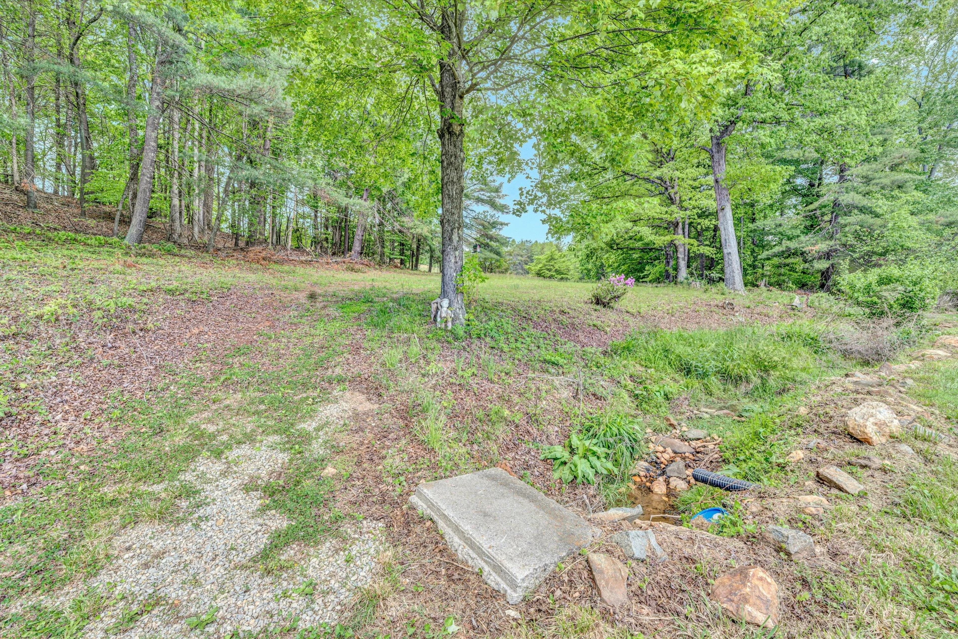150 Woodland DR - Photo 32