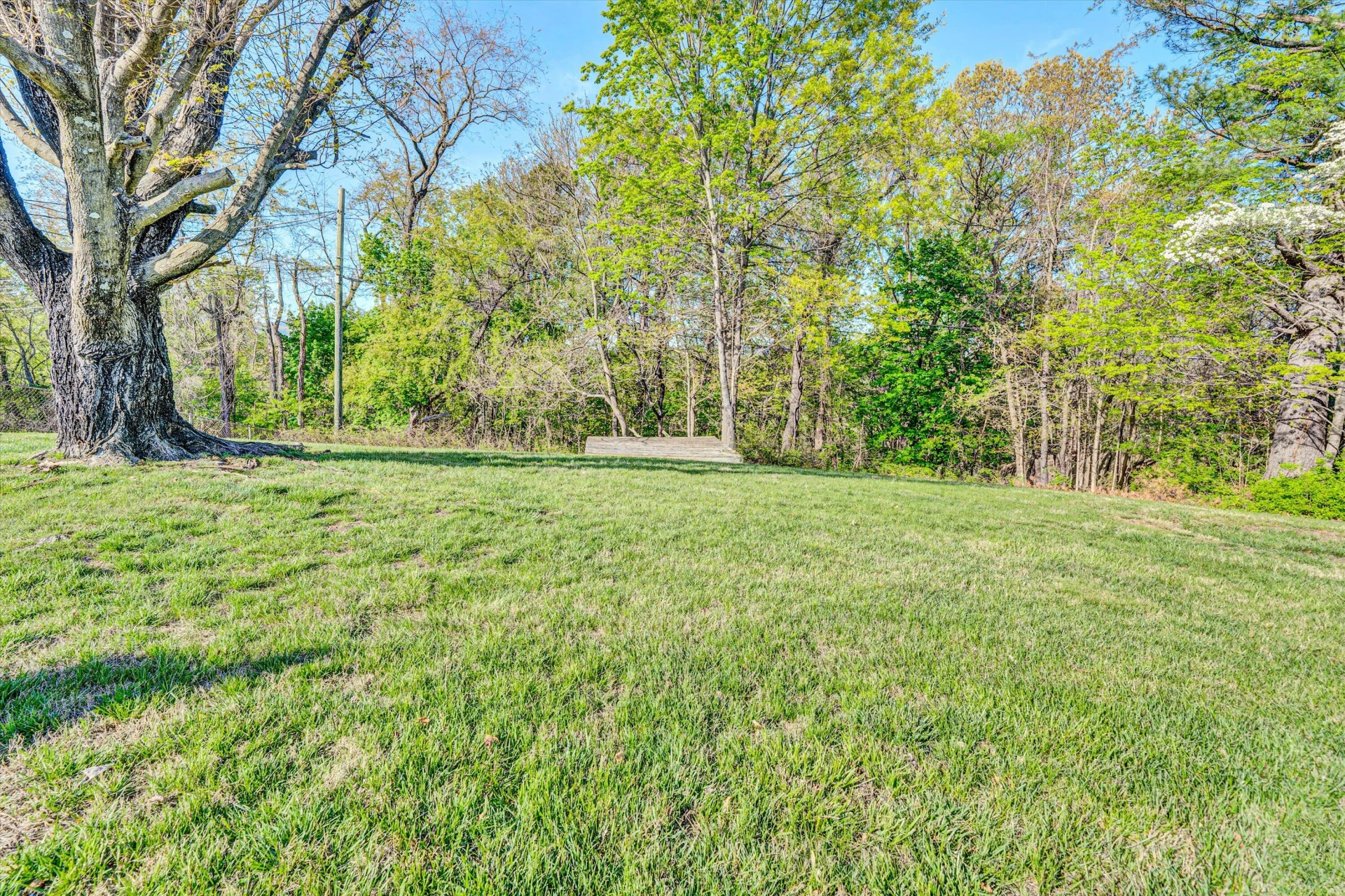 4731 Peach Tree DR - Photo 35