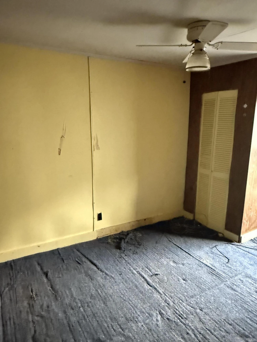 2807 Carpenter DR - Photo 18