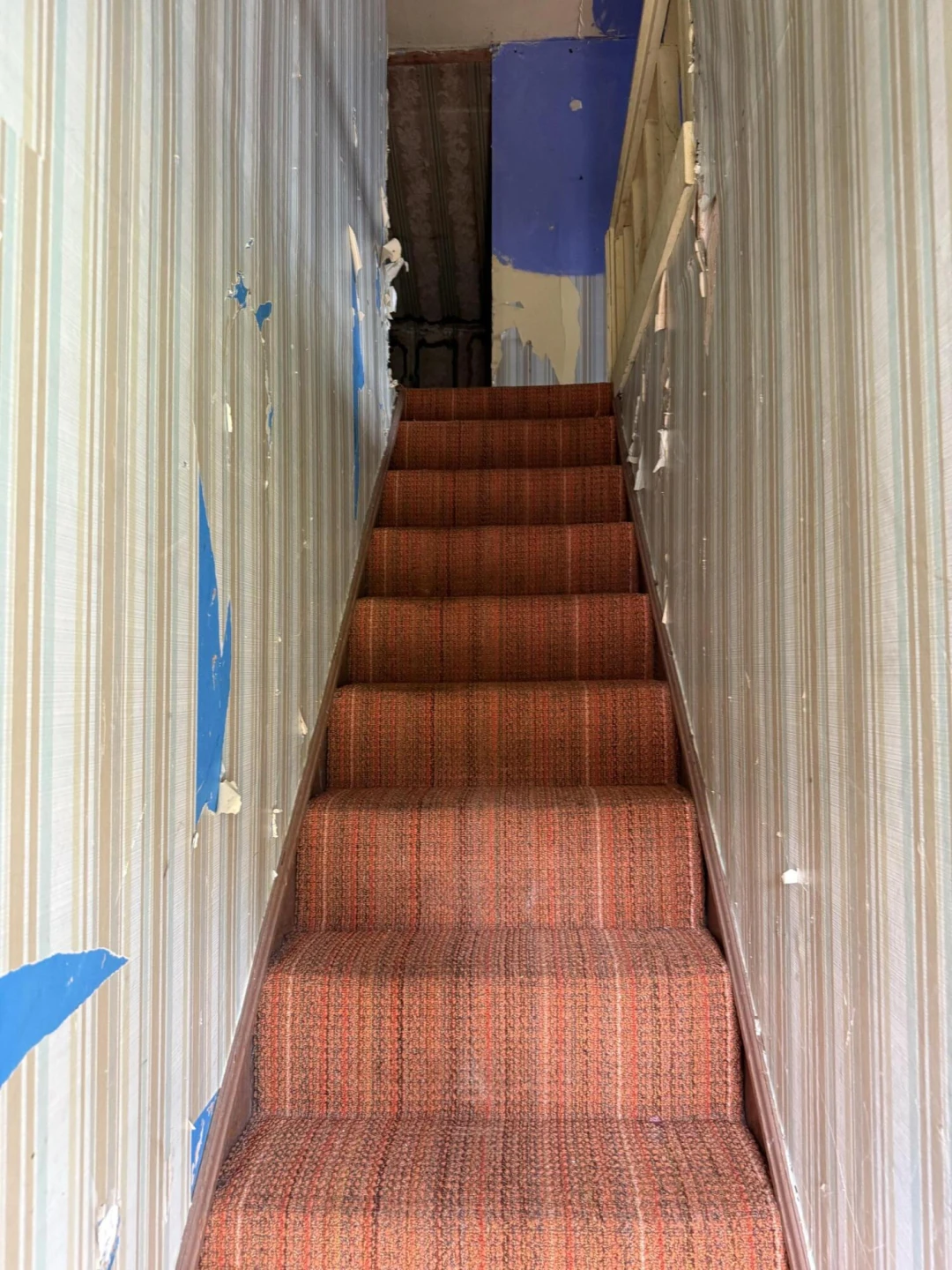 2807 Carpenter DR - Photo 19