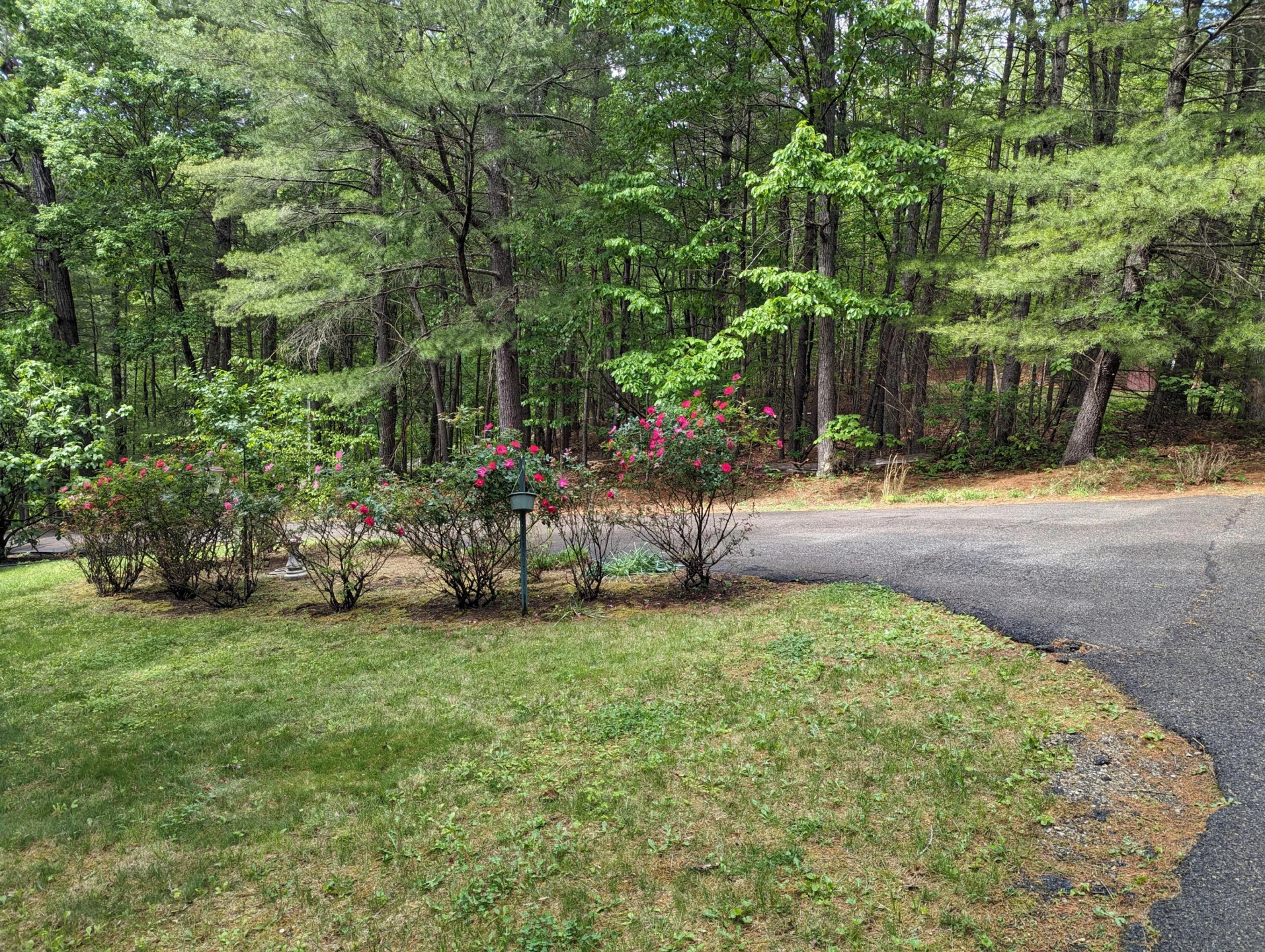 51 Crestwood CIR - Photo 37