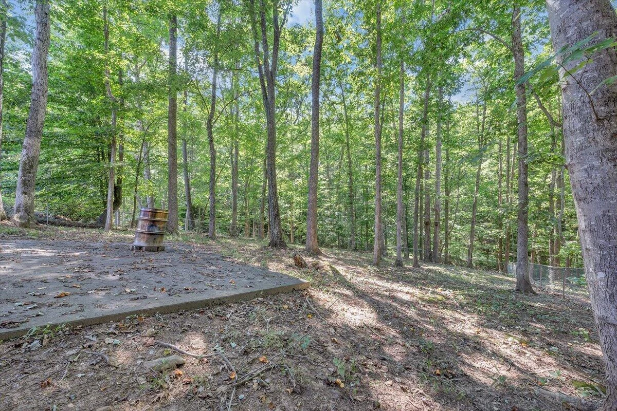 133 Breezewood RD - Photo 46