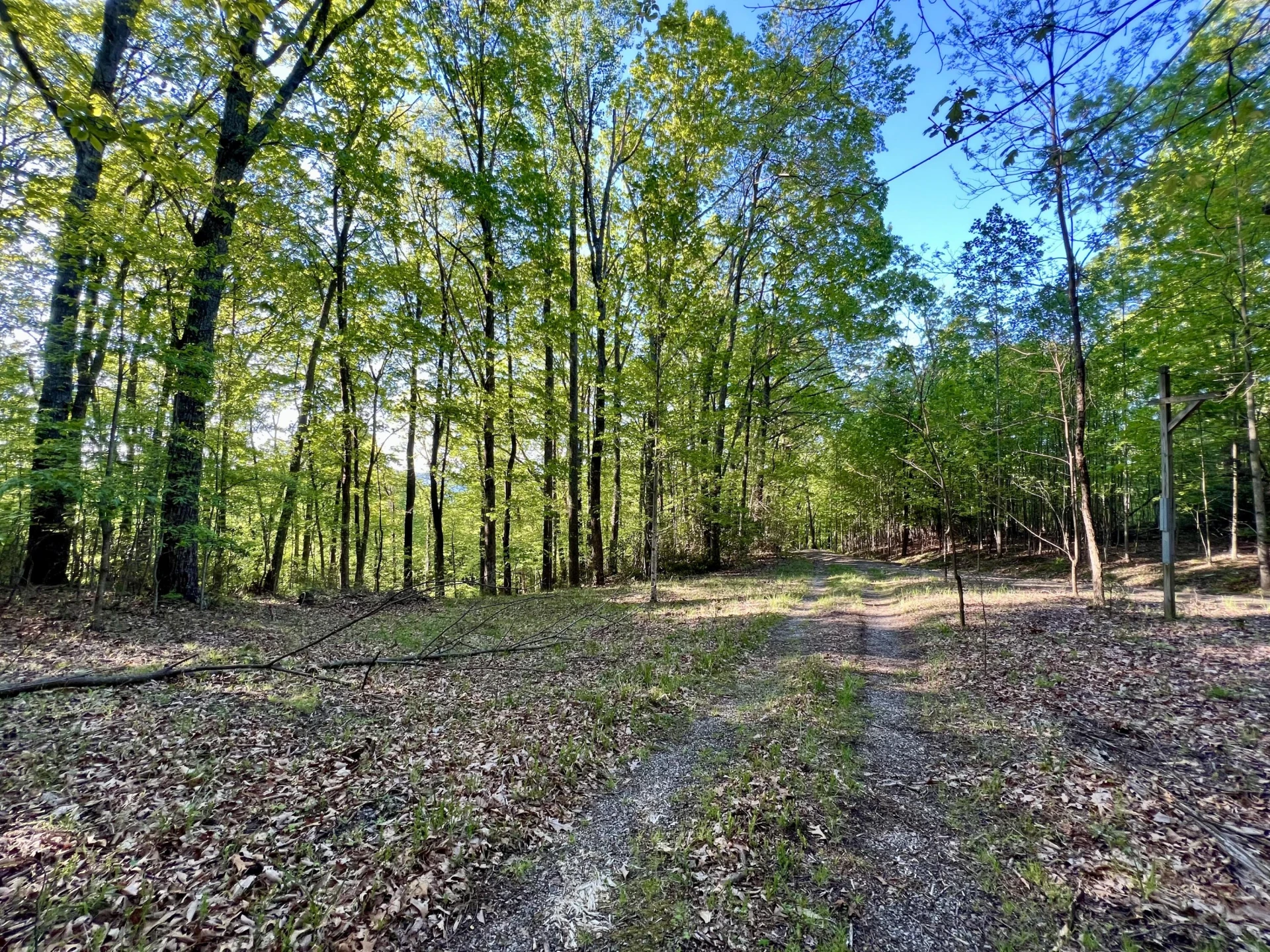 130 Hideaway LN - Photo 4