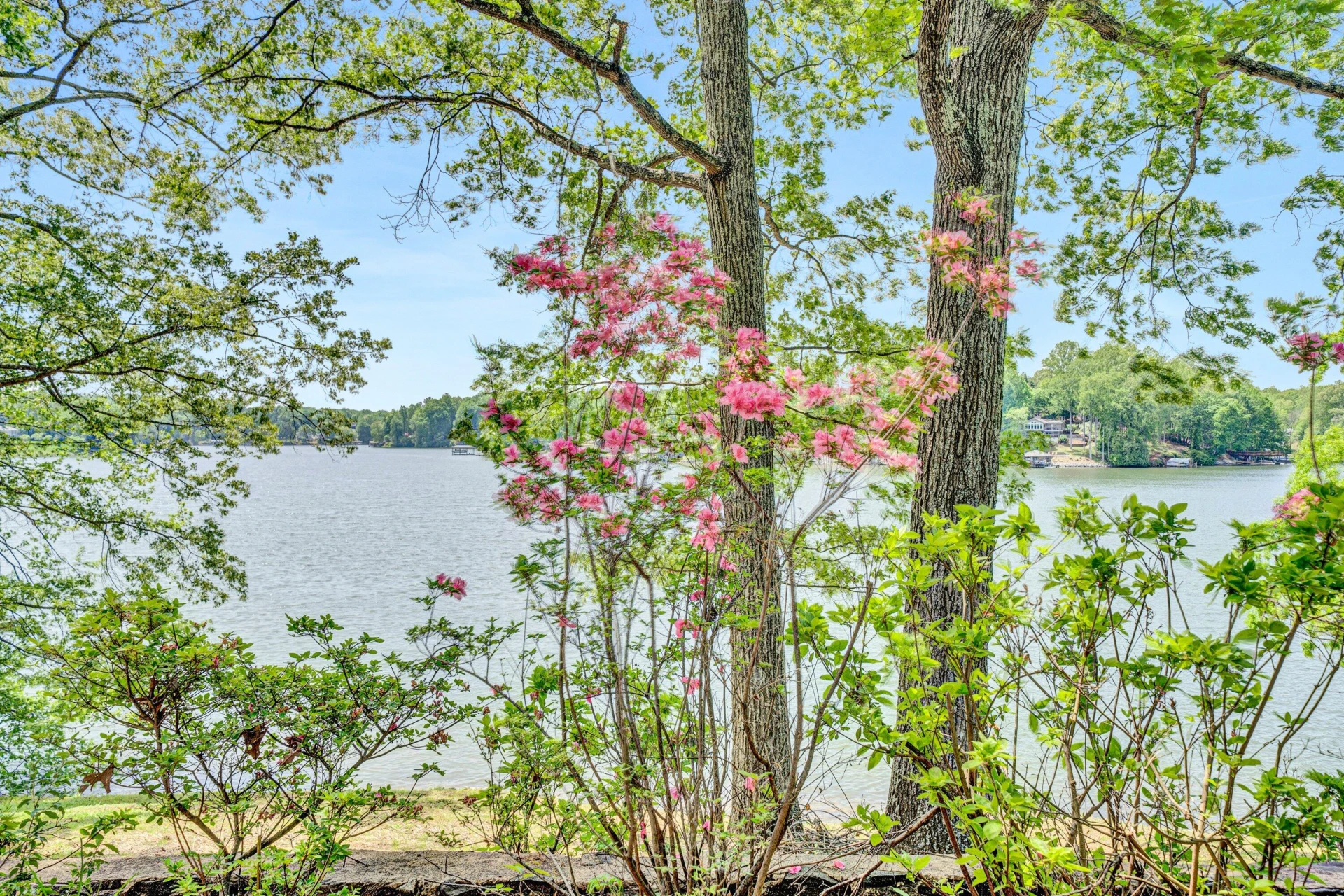 6909 Horseshoe Bend RD - Photo 41