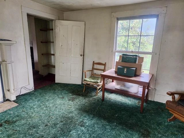 5255 Wilderness RD - Photo 23