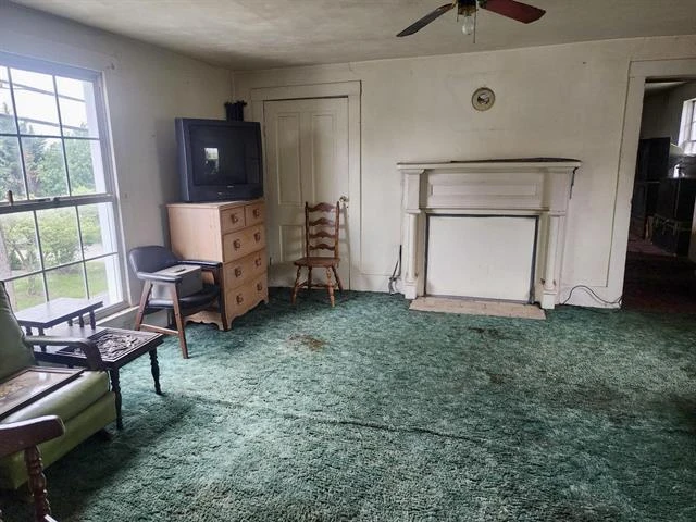 5255 Wilderness RD - Photo 24