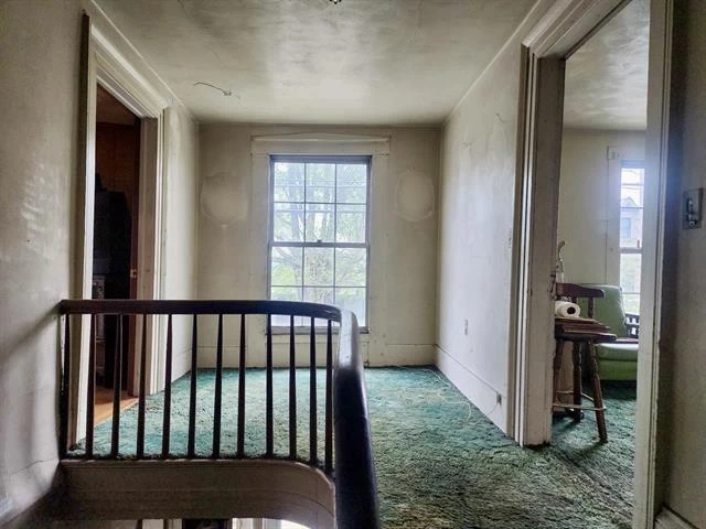 5255 Wilderness RD - Photo 9