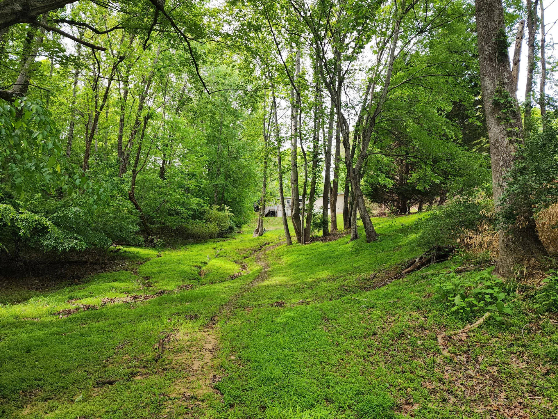 2870 Lakewood Forest RD - Photo 36