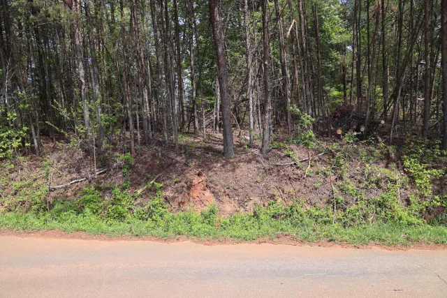 0 Sallys Ridge RD, Henry, VA, 24102