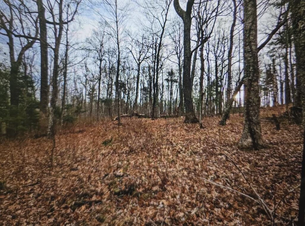 8225 Bear Ridge RD - Photo 2