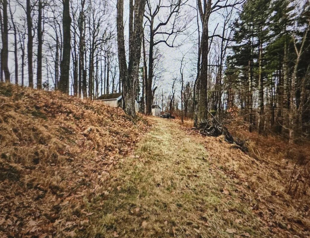 8225 Bear Ridge RD - Photo 3