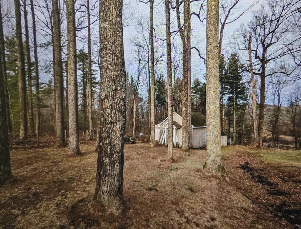 8225 Bear Ridge RD - Photo 6