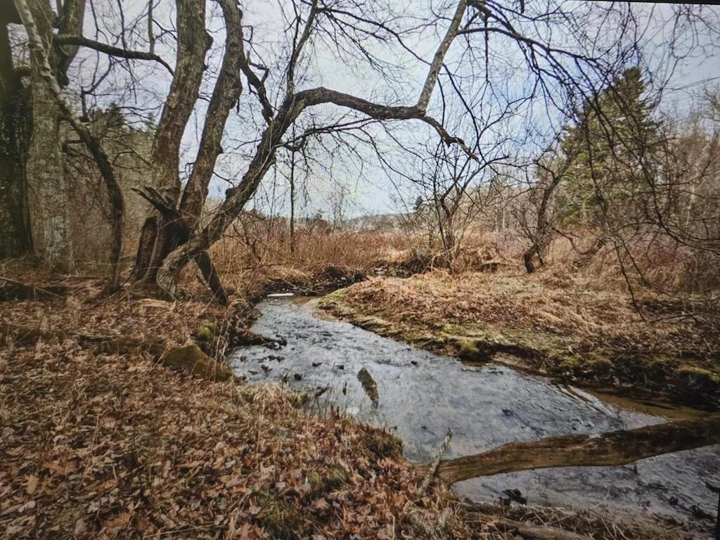 8225 Bear Ridge RD - Photo 8