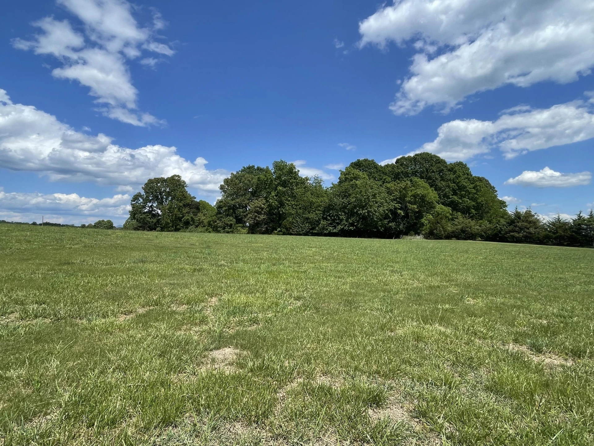 0 Virginia Byway - Photo 6